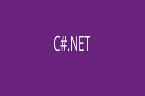 C#. NET- AN INTRODUCTION FOR BEGINNERS…